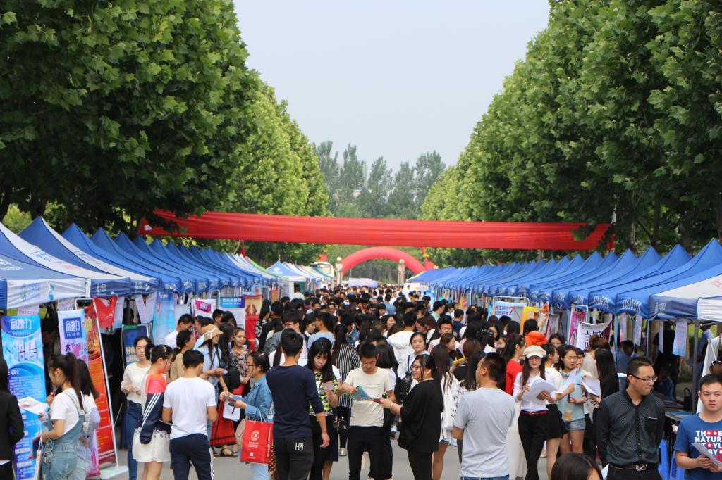 双选会现场
