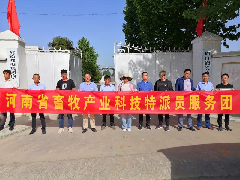 服务团赴河南省邦杰集团肉牛养殖加工基地开展科技服务
