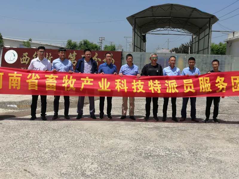 服务团赴河南省牧原养殖有限公司西华县牧原第二分场开展技术服务